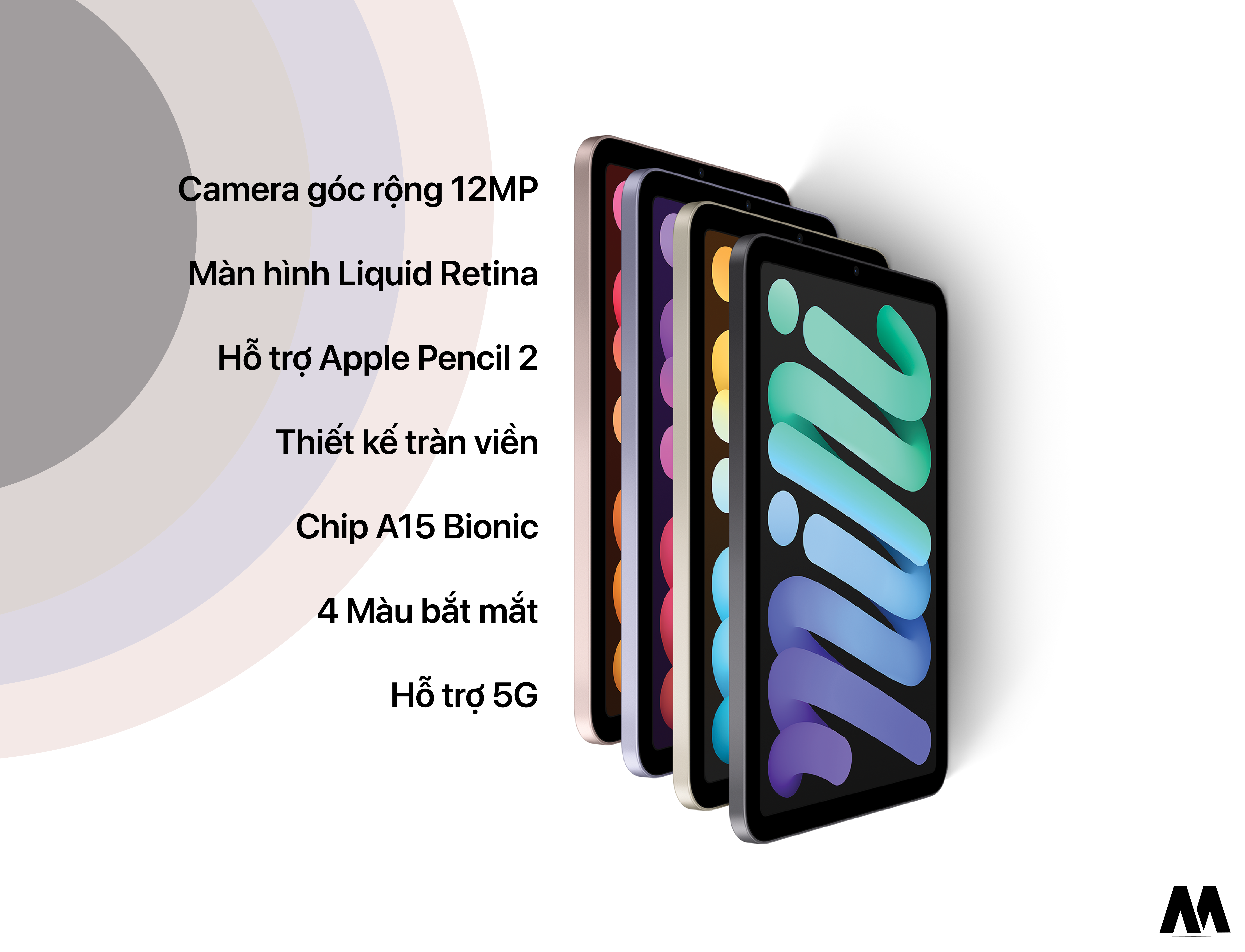 iPad Mini 6 có tổng cộng 4 lựa chọn màu sắc