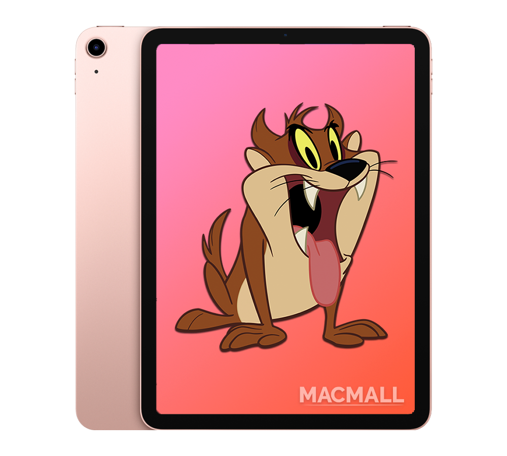 iPad Air 4 2020 Rose Gold 64GB and 256GB / WiFi