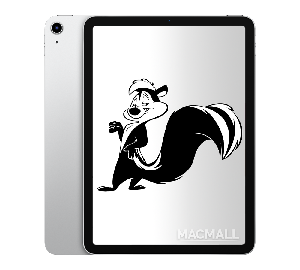 iPad Air 4 2020 Silver 64GB and 256GB / WiFi + Cellular