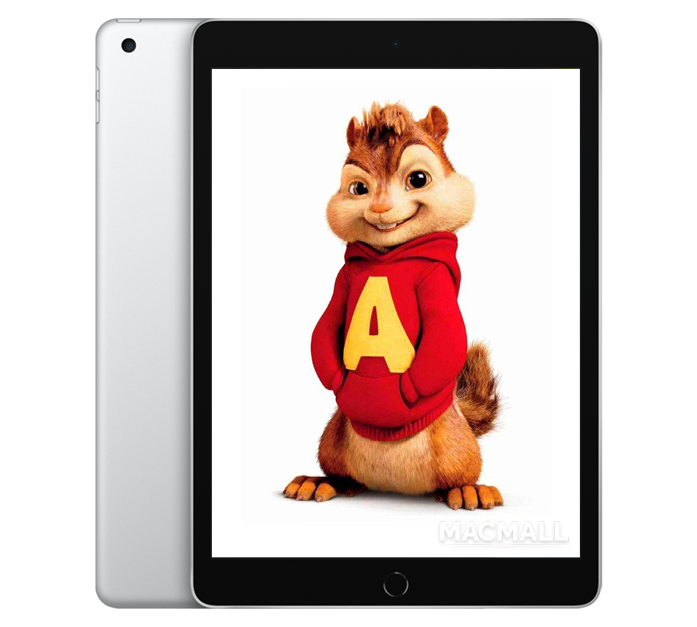 iPad Gen 9 2021 Silver / 64GB or 256GB / WiFi + Cellular