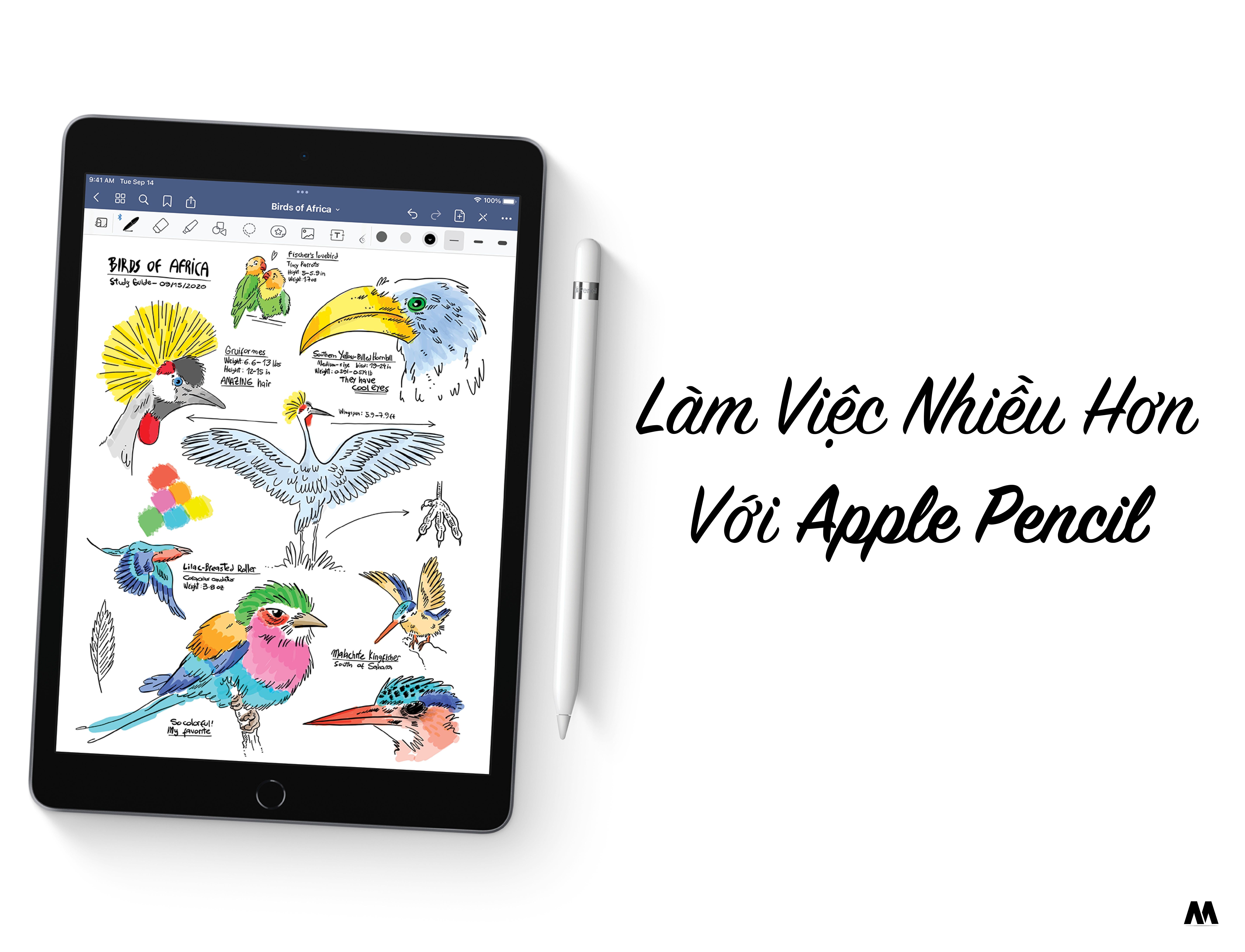 iPad Gen 9 sẽ tương thích với Apple Pencil 1